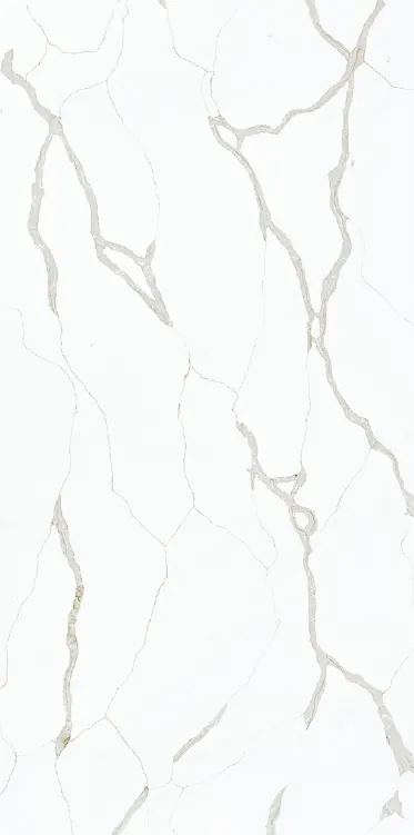 SQ9303 Black Marquina