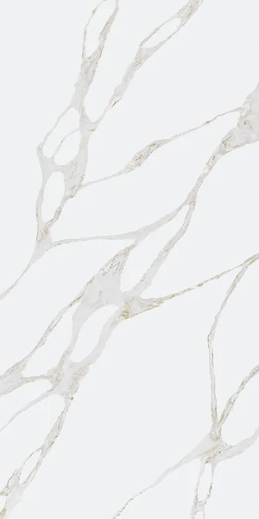 SQ9041 Calacatta Botanica